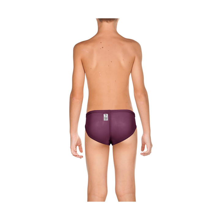 arena USA Men's Brief (Purple) / 競パン（紫） arena USA Men's Brief (Purple) / 競パン（紫） - メルカリ