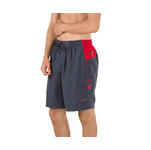 Speedo Sport Volley Short Male