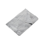 Speedo Watershed Chamois