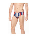 Speedo Pinstripe Flight Brief