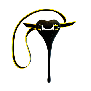 FINIS Posture Trainer