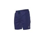 Nike Mens Icon 7 Volley Short