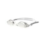Nike Chrome Mirror Goggle