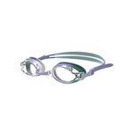 Nike Chrome Youth Goggle product image