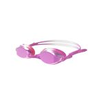 Nike Chrome Mirror Youth Goggle
