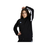 Arena Arena Icons Hooded Sweat Solid product image