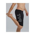Tyr Mens Large Logo Jammer