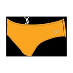 Speedo Beachstar Brief 3 In