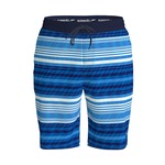 Speedo Print Bondi Basin Boardshort 20 Inches