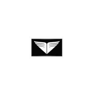 Tyr Chevron Bag Patch