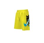 Nike Men Shift Breaker 7in Volley Short