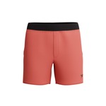 Speedo Men's The Lookout Solid Volley Short 16 Inch