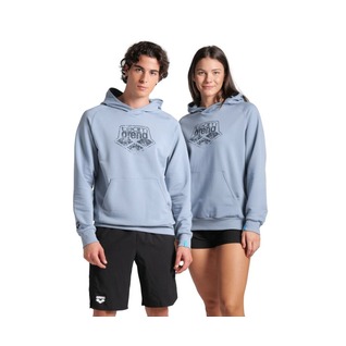 Arena Hooded Sweat Logo